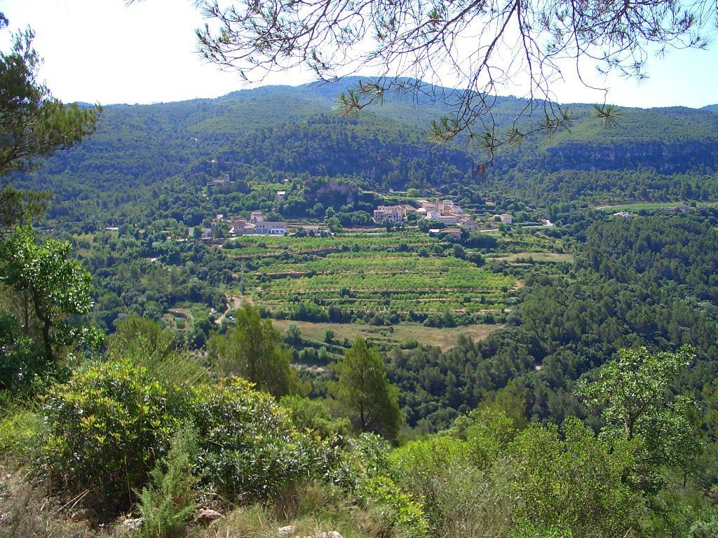 estiu2004juliol 038.jpg